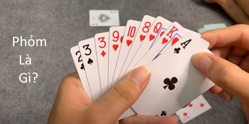 Hiểu Phỏm là gì thông qua khái niệm cơ bản